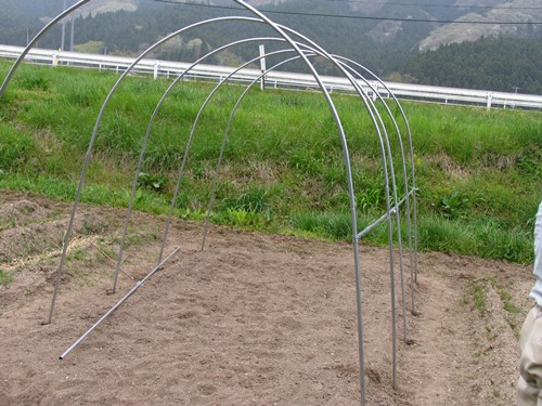 �r�j�[���n�E�X