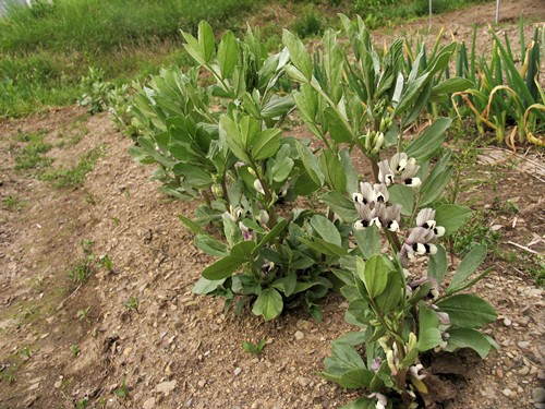 �\���}��