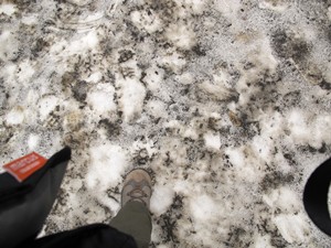 雪