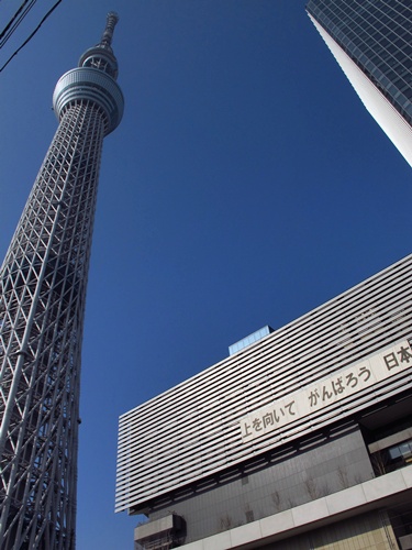 111130076skyt.jpg