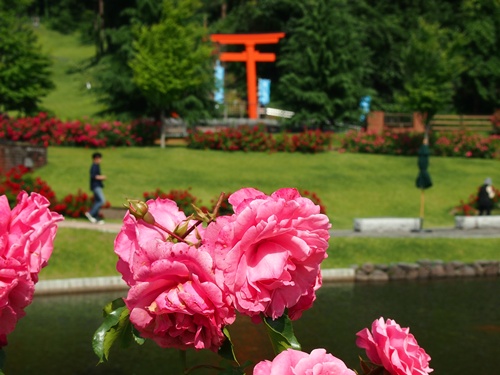 鳥居