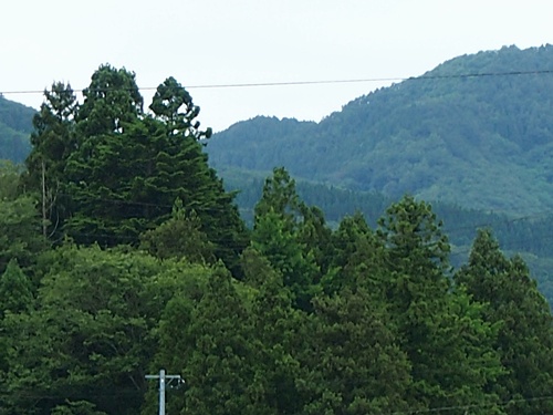 120624009.jpg