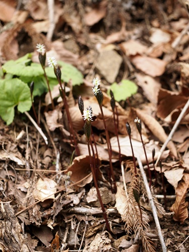 130412229hitorisizuka.jpg
