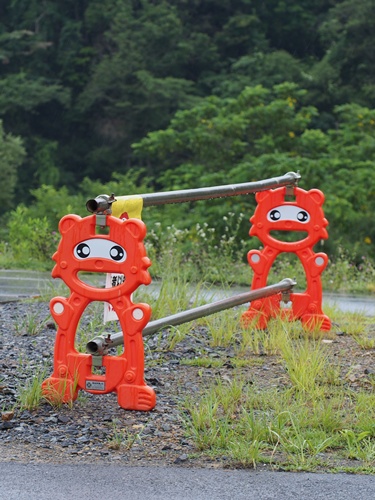 たぬき