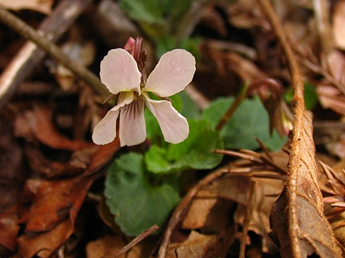080421033.jpg