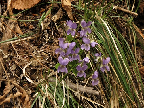110430169.jpg