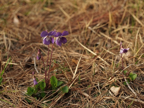 130430086takai.jpg