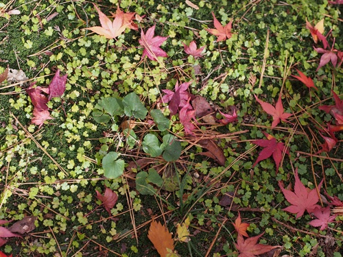 131119032.jpg