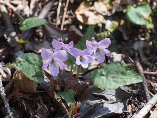 �q�i�X�~��