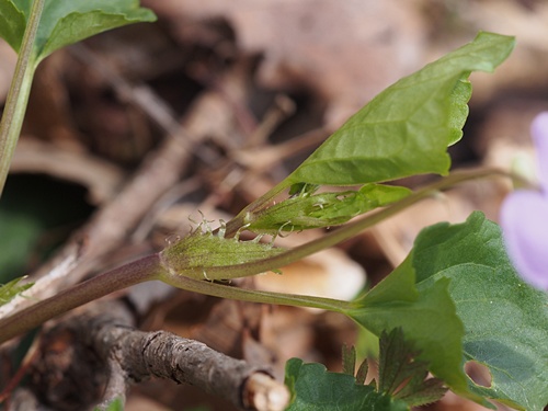 �I�I�^�`�c�{�X�~��