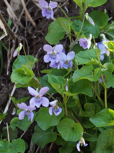 �I�I�^�`�c�{�X�~��