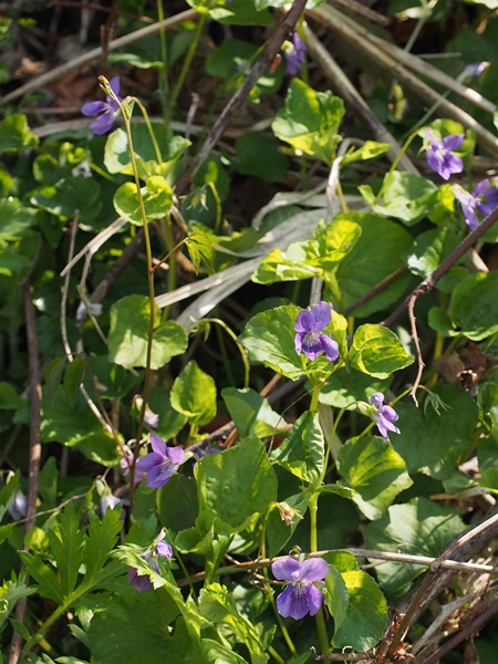 �I�I�^�`�c�{�X�~��