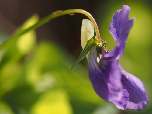 �I�I�^�`�c�{�X�~��