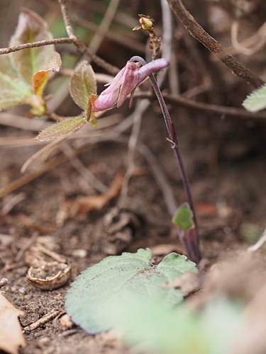 �Q���W�X�~��