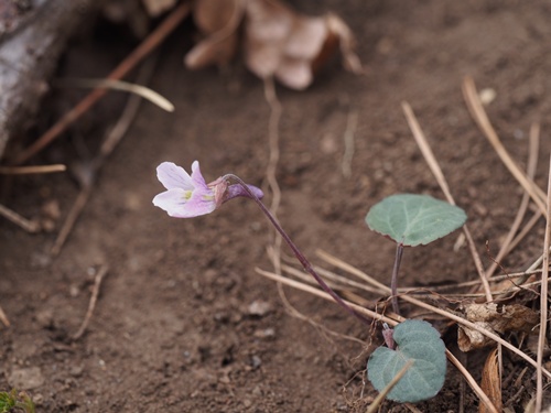 �Q���W�X�~��