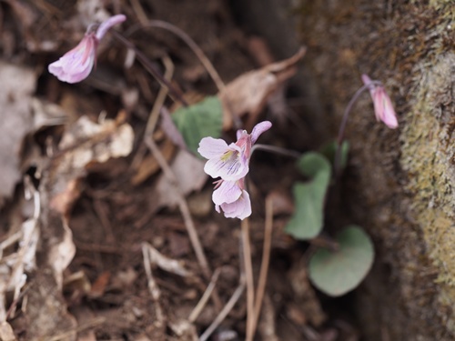 �Q���W�X�~��