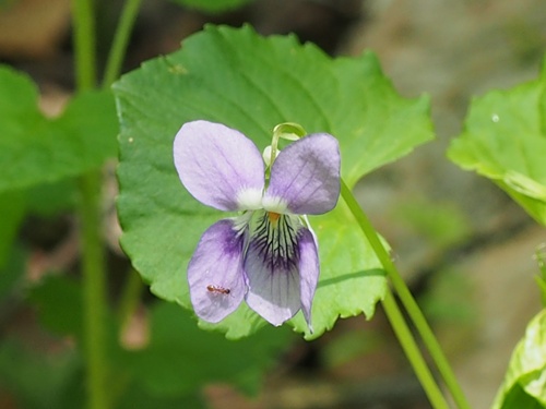 �I�I�^�`�c�{�X�~��