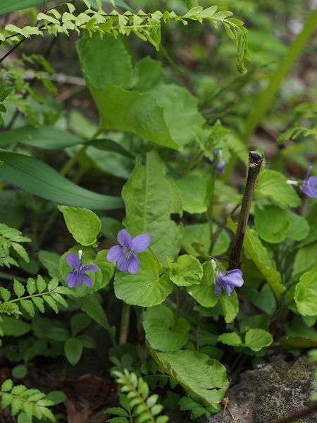 �I�I�^�`�c�{�X�~��