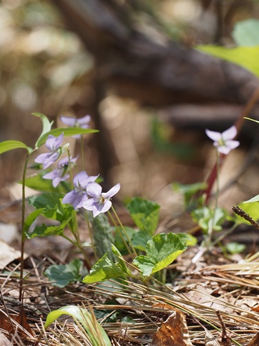 �I�I�^�`�c�{�X�~��