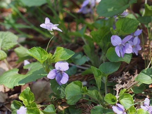 �I�I�^�`�c�{�X�~��