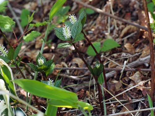 140516045hitorisizuka.jpg