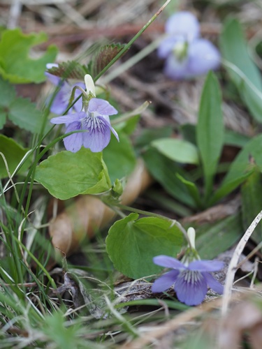 �I�I�^�`�c�{�X�~��