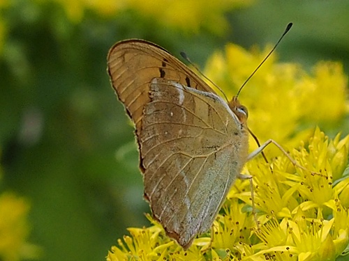 140619112kumogata.jpg