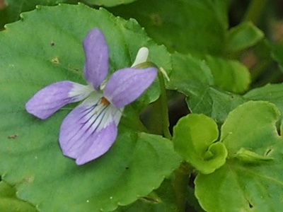 �I�I�^�`�c�{�X�~��