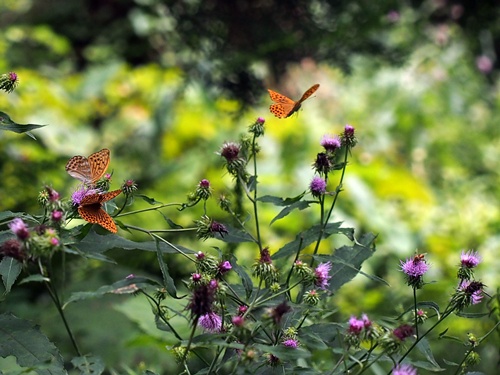 �~�h���q���E����